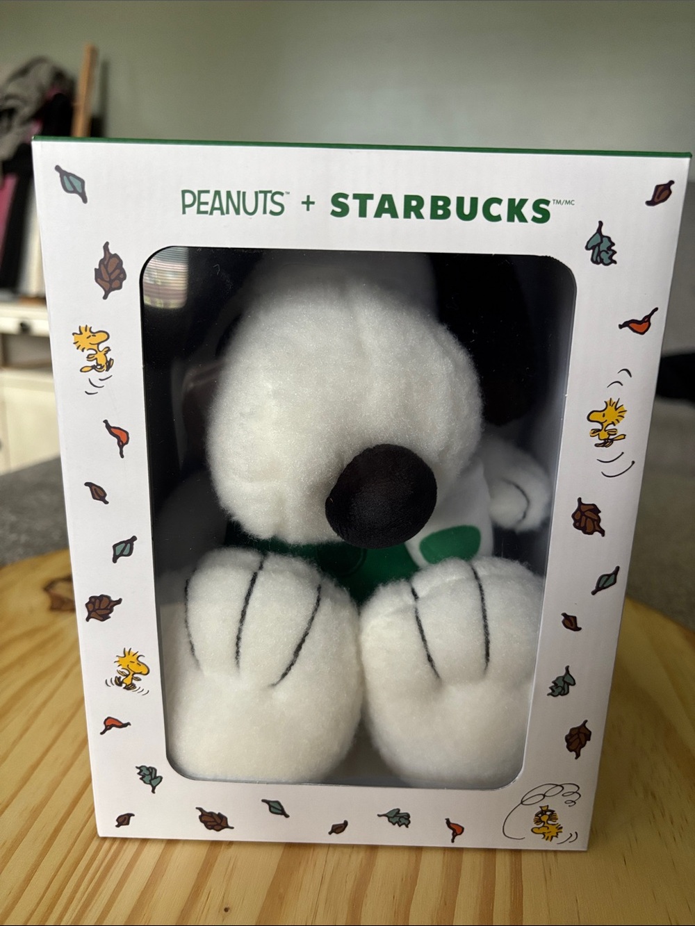 Starbucks White & Green Snoopy Plush Toy